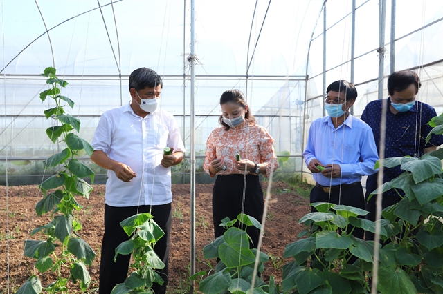 Hà Nội embraces high-tech agriculture